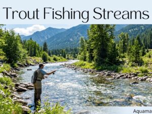 34 Trout Fishing Streams & Rivers in Colorado Map & Guide