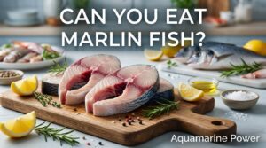 Can You Eat Marlin Fish? Safety, Taste & Mercury Levels 2026