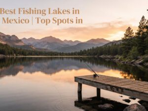 30+ Best Fishing Lakes in New Mexico | Top Spots in [cy]