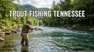 Trout Fishing Tennessee: Maps, Stocking Schedule & Spots