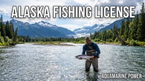 Alaska Fishing License: Buy Online, Requirements & Costs
