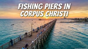 Best 10 Fishing Piers in Corpus Christi | Complete Guide