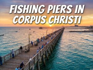 Best 10 Fishing Piers in Corpus Christi | Complete Guide