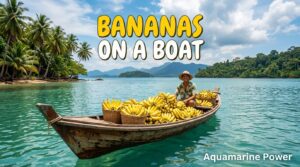 Bananas on a Boat: Why They're Bad Luck & Real Theories