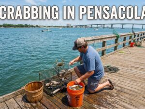 Crabbing in Pensacola: Best Spots, Tips & Guide | [cy]