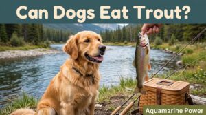 Can Dogs Eat Trout? Safety Guide & Risks | 2026