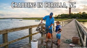 Crabbing in Corolla NC: Best Spots, Tips & Complete Guide