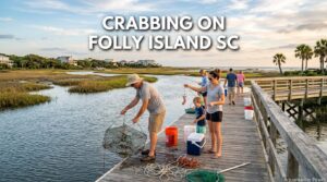 Crabbing On Folly Island SC: Best Spots & Expert Tips | 2026