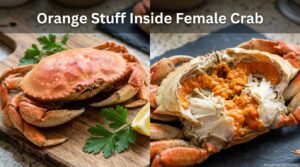 Orange Stuff Inside Female Crab? It's Edible Roe | 2026