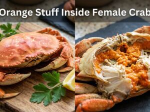 Orange Stuff Inside Female Crab? It's Edible Roe | [cy]
