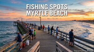 Best 10 Fishing Spots Myrtle Beach | Piers, Maps & Guide