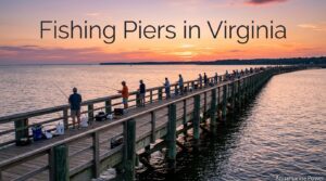 Best 20+ Fishing Piers in Virginia: Maps & Fish Reports