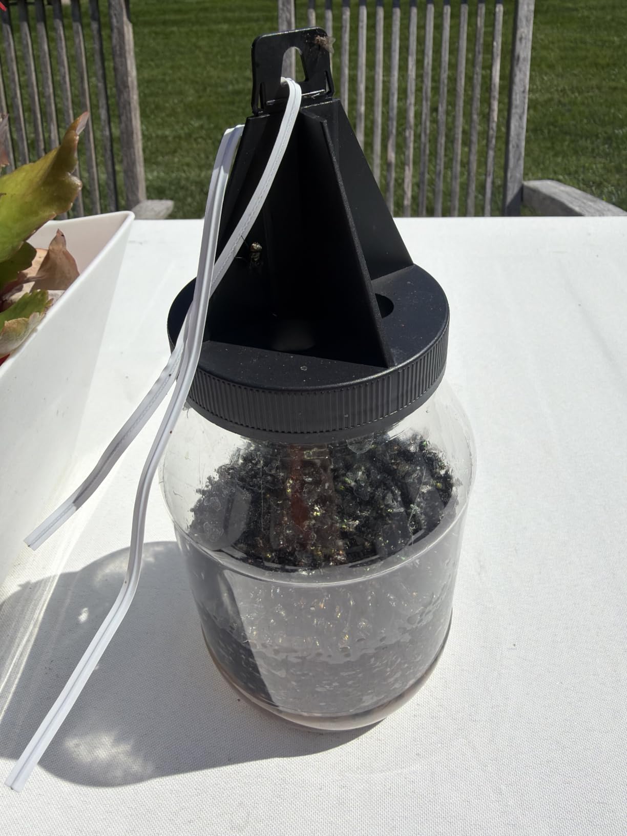 TERRO Fly Magnet Trap - Reusable Poison-Free Outdoor Fly Catcher with Bait for Patios & Decks customer photo 2