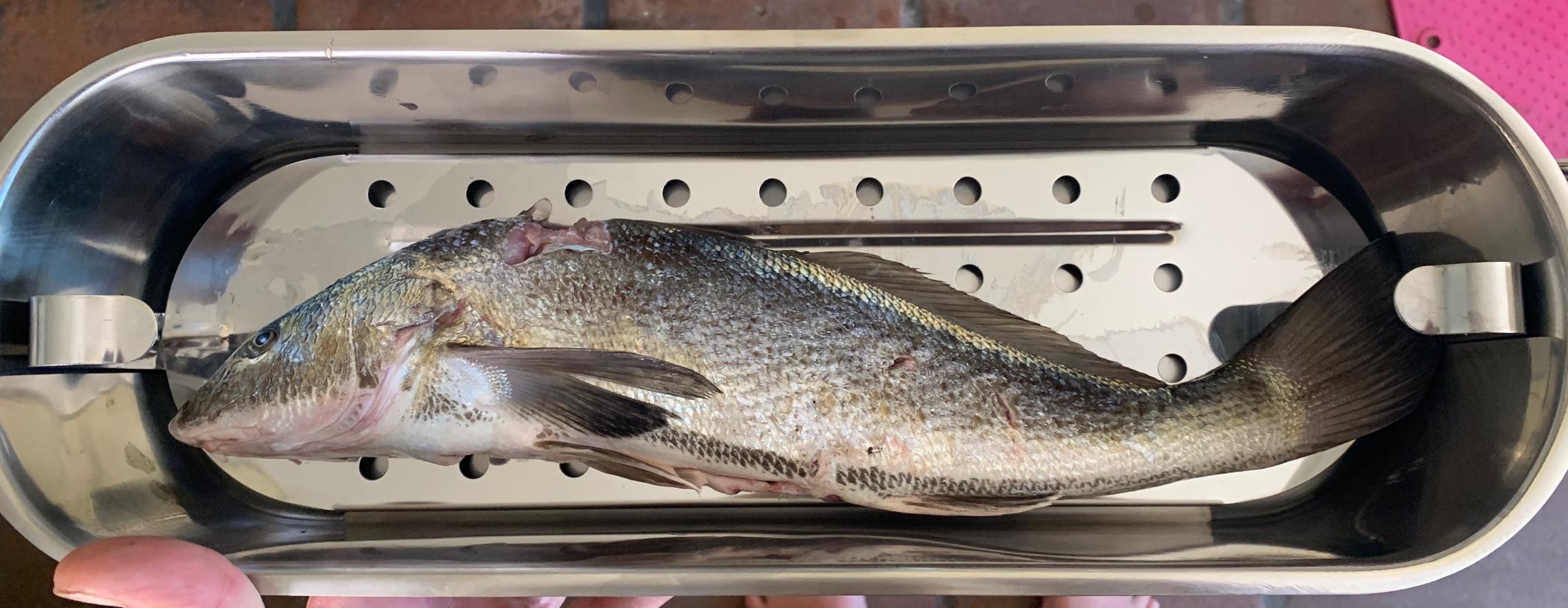 Norpro Stainless Steel Fish Poacher customer photo 1