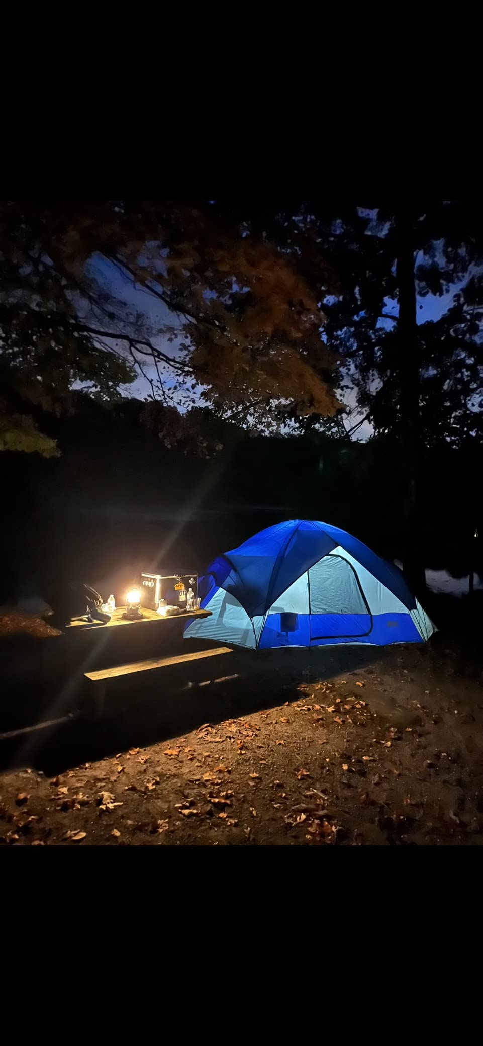 Coleman Premium 700L Dual-Fuel Lantern with Adjustable Brightness & Carry Case, Mantles & Filter Funnel Included, Great for Camping, Hunting, Power Outage, Emergencies & More customer photo 2