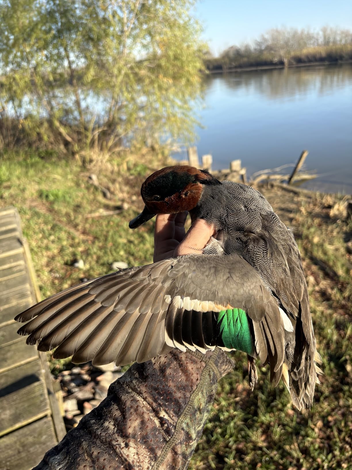 Primos Hunting 838 Duck Call, High Roller customer photo 1