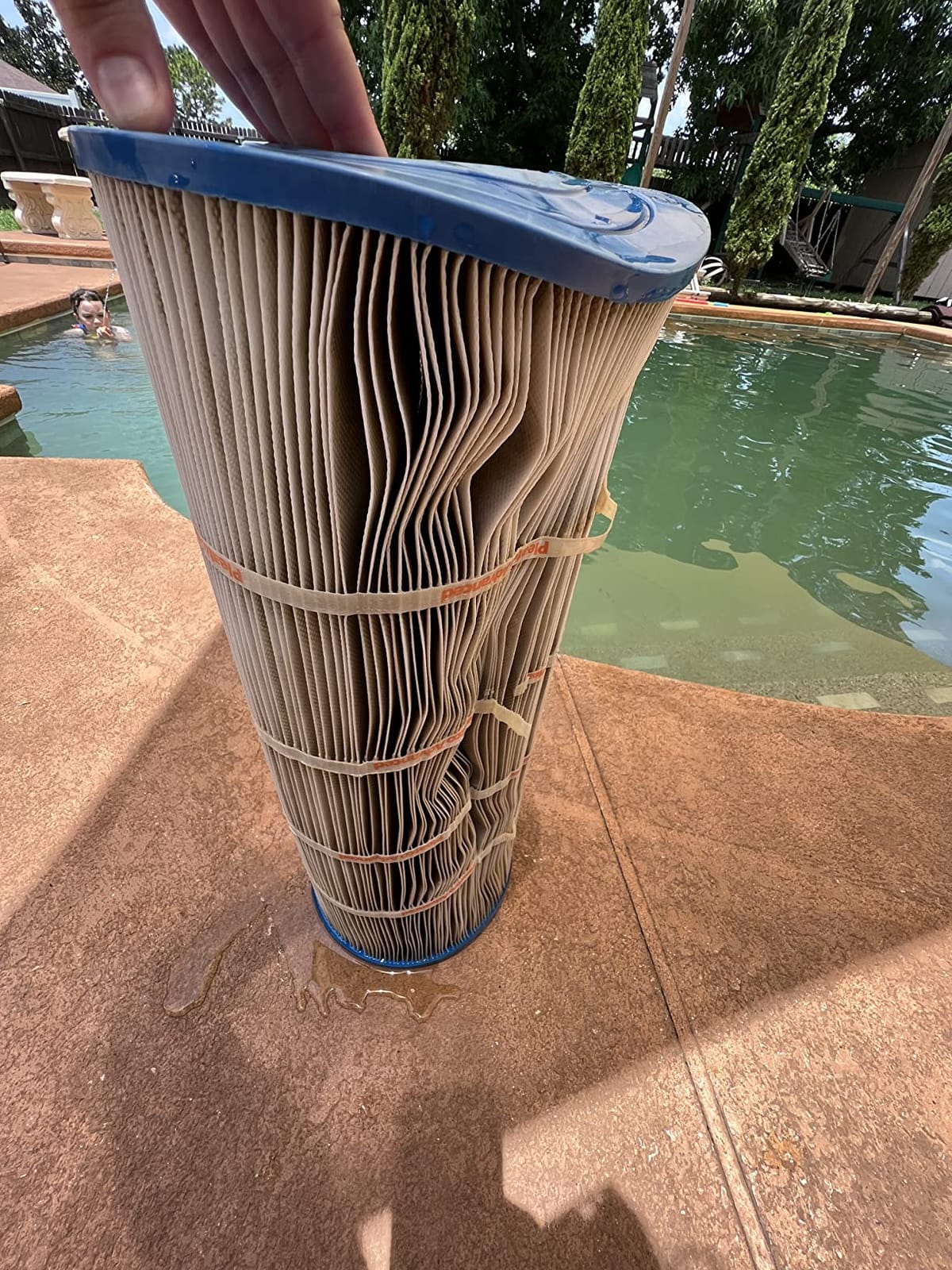 Pleatco PA120 Pool Filter Cartridge Replacement for Unicel: C-8412, Filbur: FC-1293, OEM Part Numbers: CX1200-RE customer photo 2