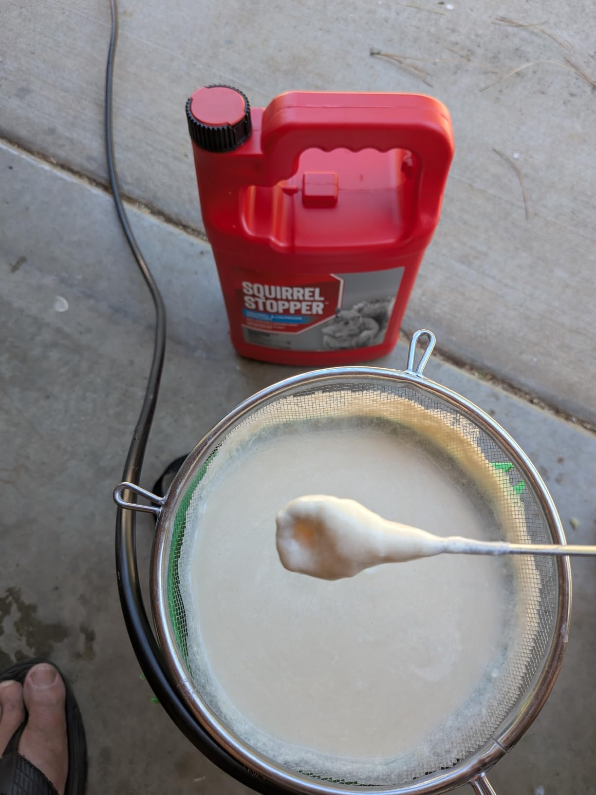 Squirrel Stopper Repellent Spray - Chipmunk & Squirrel Deterrent for Bird Feeders, Garden & Homes - Weather-Resistant Formula - Scent, Taste & Touch Barrier - Safe Around Kids & Pets - 1 Gallon customer photo 1