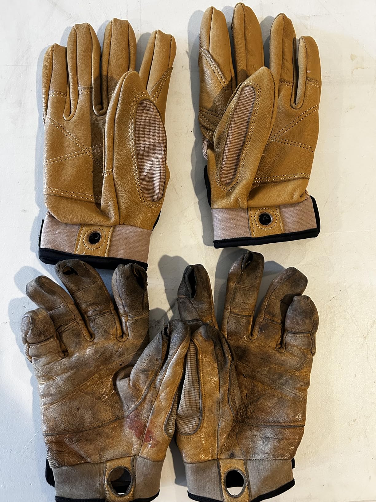 PETZL CORDEX Lightweight Belay/Rappel Gloves customer photo 2