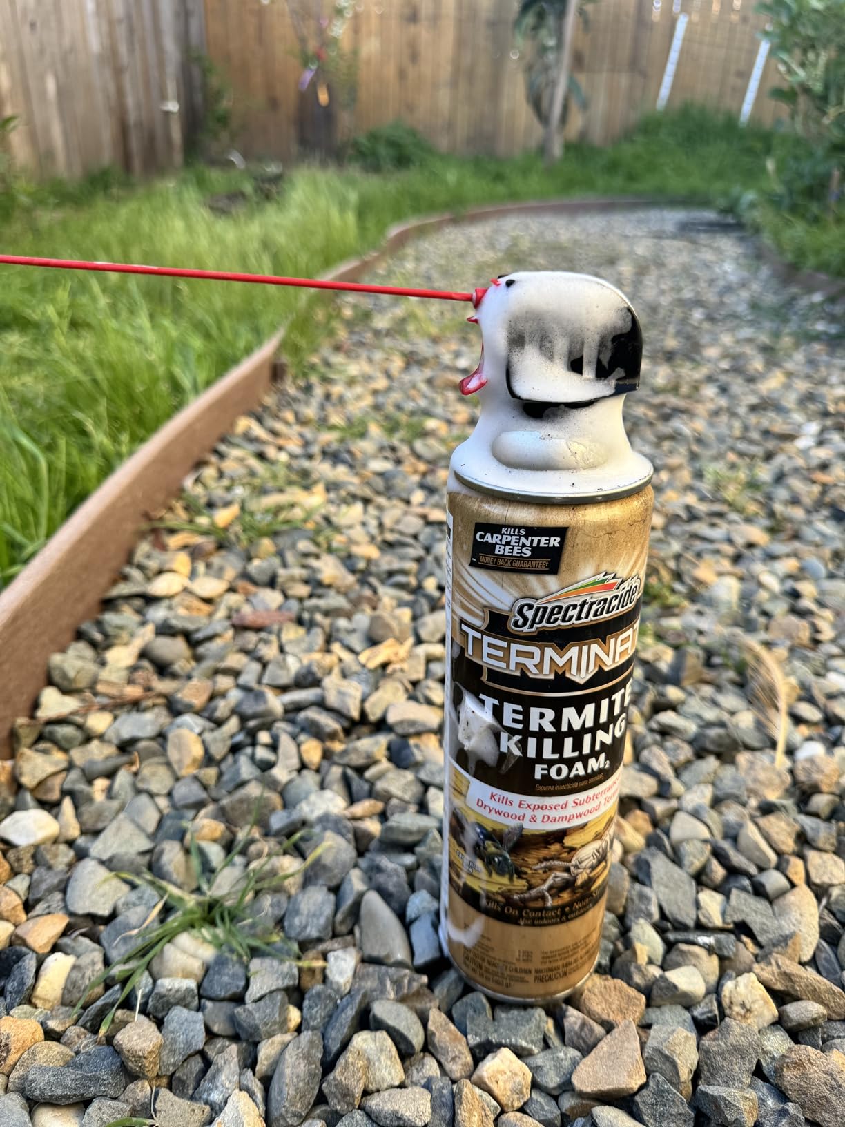 Spectracide Terminate Termite Killing Foam 16 Ounces, For Indoor And Outdoor Use customer photo 1