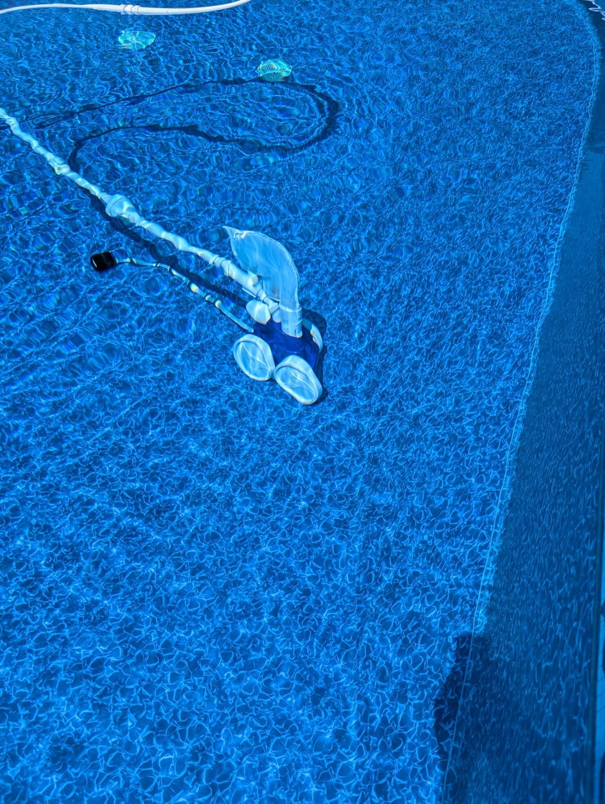 Polaris Vac-Sweep 360 Pressure-Side Cleaner for In-Ground Pools | Pressure-Side Cleaner Needs No Booster Pump; Triple Jets & a 2.25-Inch Inlet Grab Large Debris, 31ft Hose & Bag customer photo 2