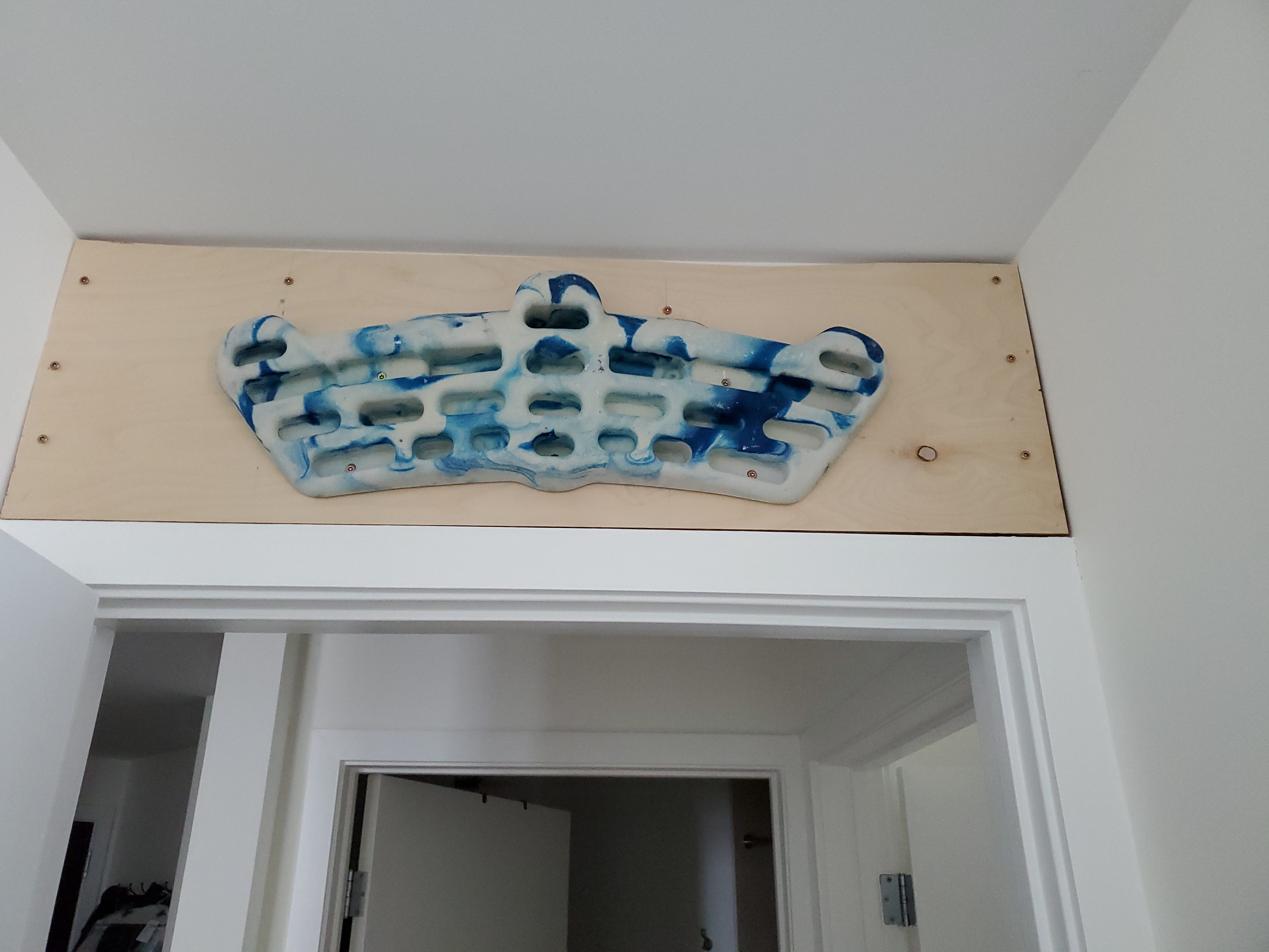 Metolius Simulator 3D Training Board customer photo 1