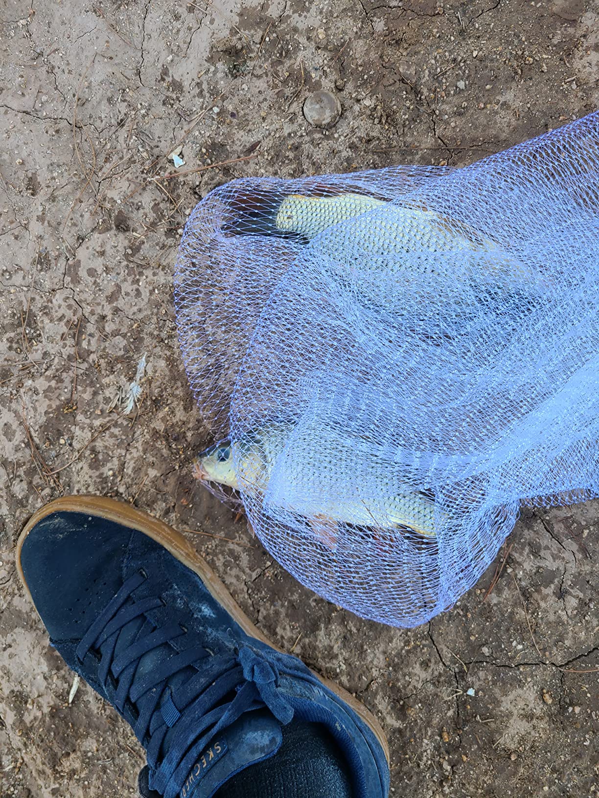 Fitec RS750 SUPER SPREADER Cast Net customer photo 1