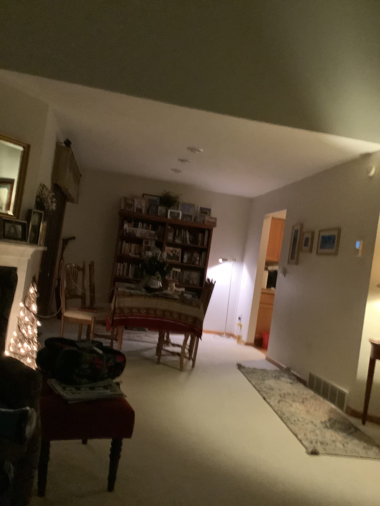 Dekko Silverfish Packs customer photo 2