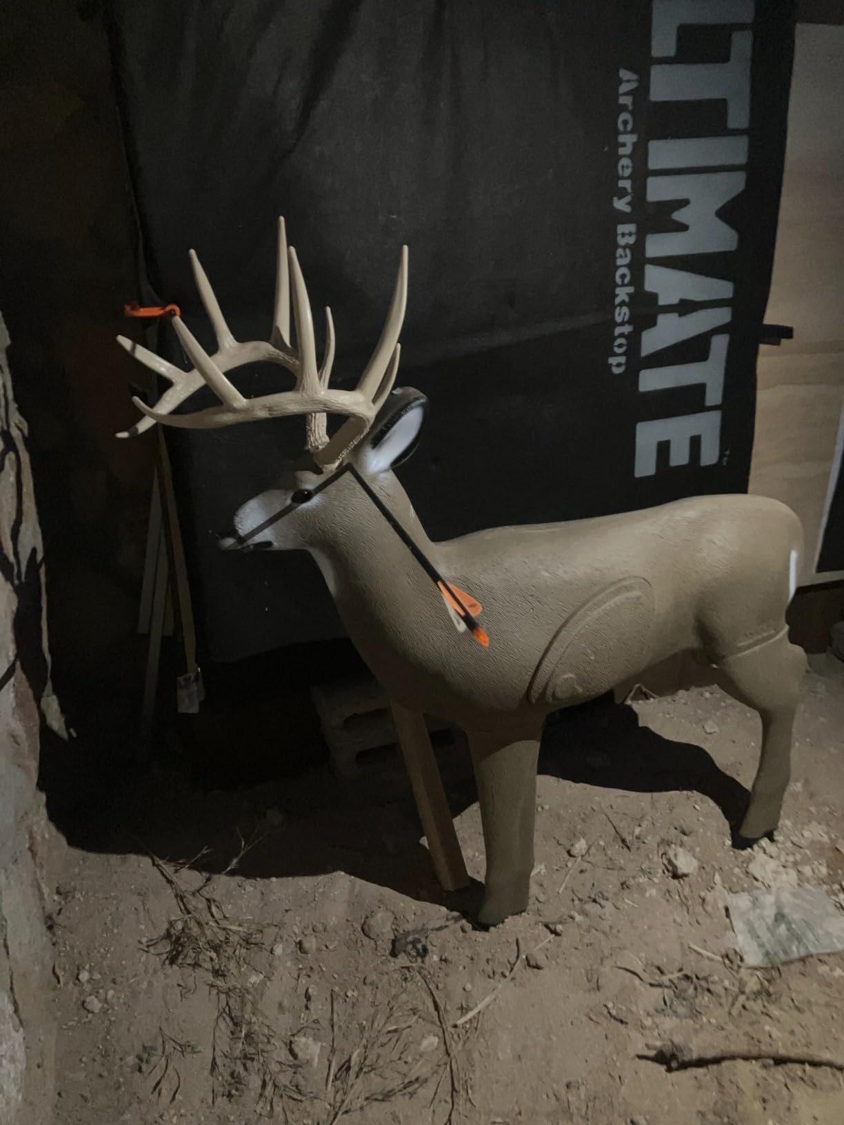 SHOOTER Buck 3D Archery Target, Replaceable Insert for Long Life, Weather-Resistant Construction, High-Density Impact-Response Foam customer photo 1