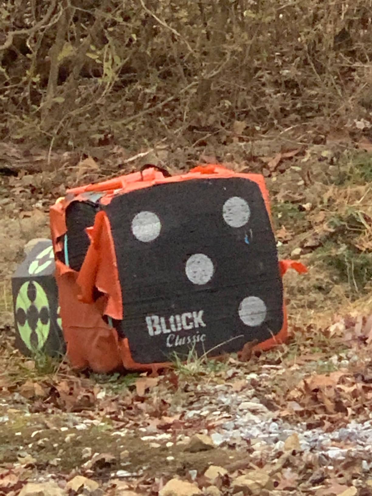 BLOCK Classic Layered Foam Archery Target, 2-Sided Shooting, Unique Open Layer Design Stops Field Points and Broadheads with Friction Not Force customer photo 2