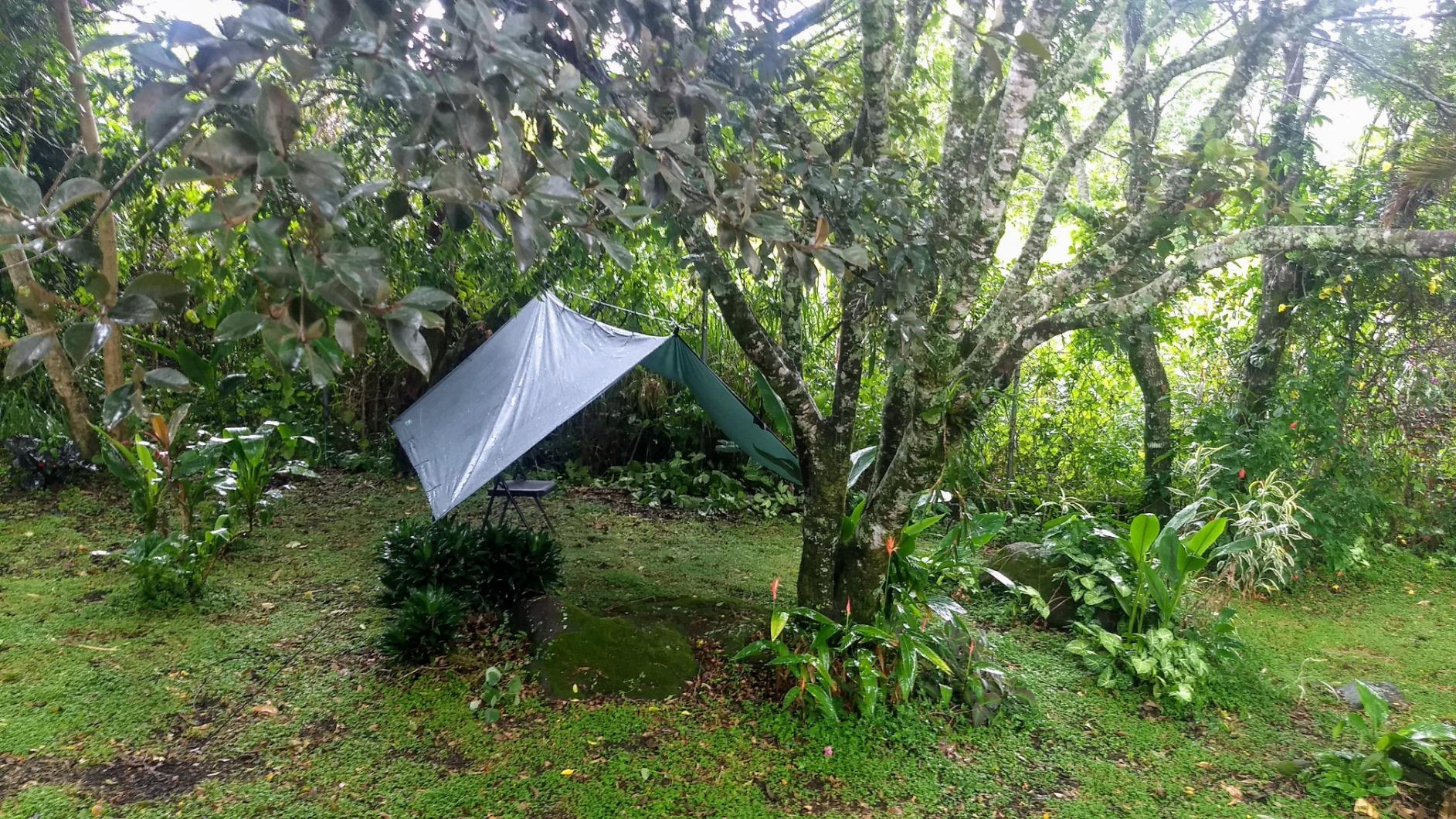 DD Hammocks - DD Tarp 3x3 - Olive Green: 10ft x 10ft customer photo 1