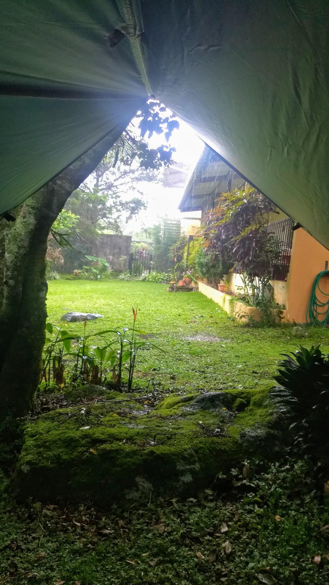 DD Hammocks - DD Tarp 3x3 - Olive Green: 10ft x 10ft customer photo 2
