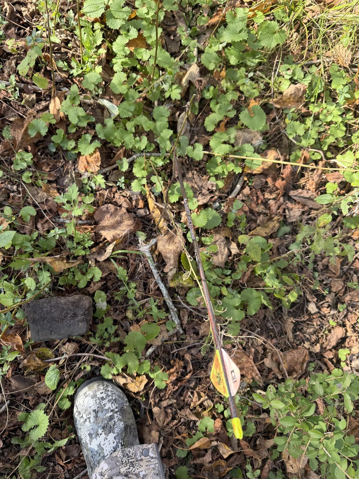 QAD Fixed Blade Broadheads customer photo 1