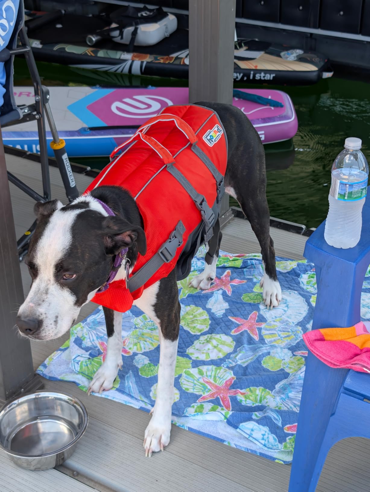 Outward Hound Granby Splash Orange Dog Life Jacket, Large customer photo 1
