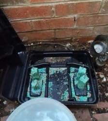 Bell Labs - Protecta EVO Express Bait Station - 1 Trap customer photo 2