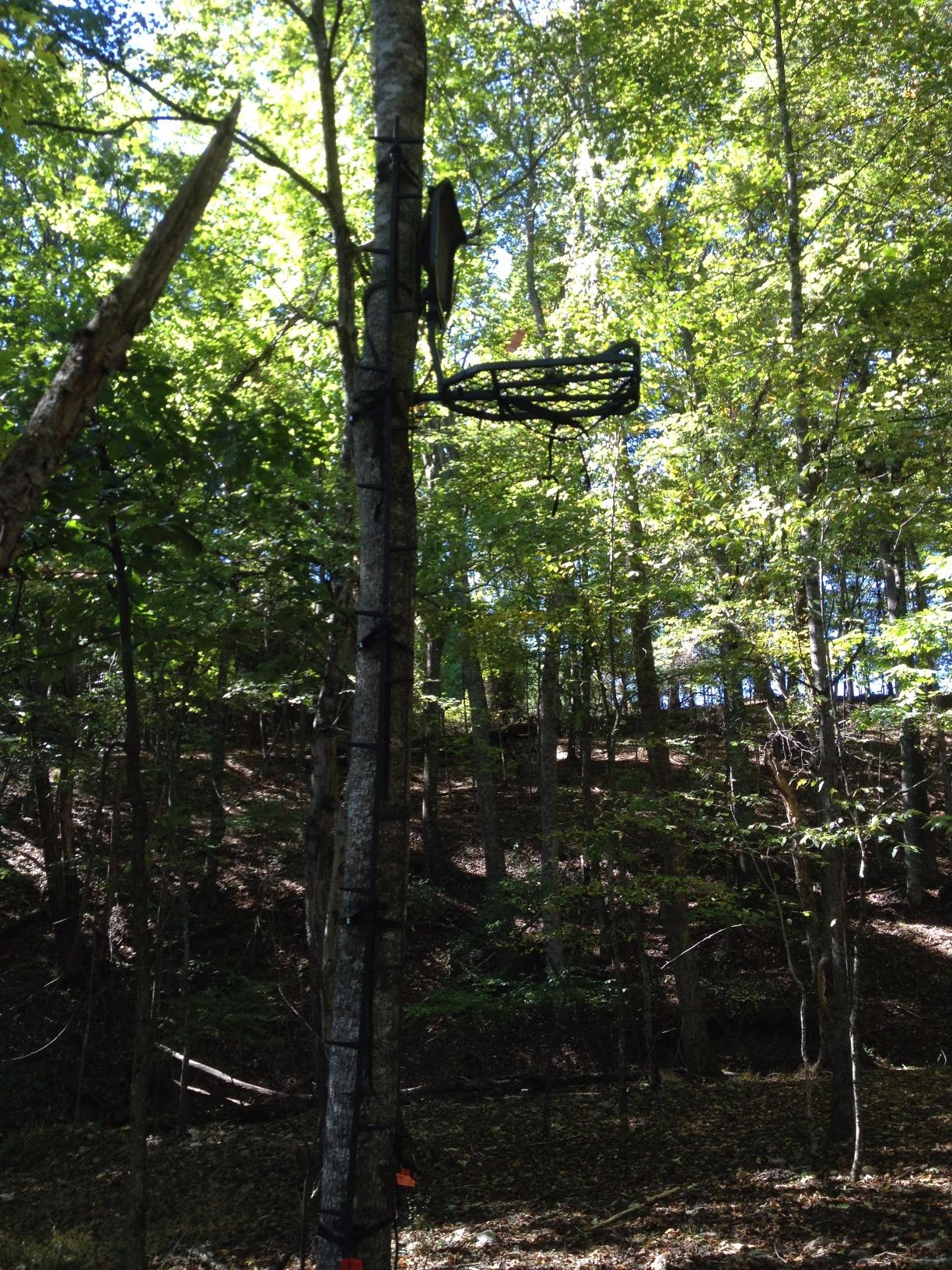 Millennium Treestands M210 Stick Climber, Black, 20-Feet customer photo 1