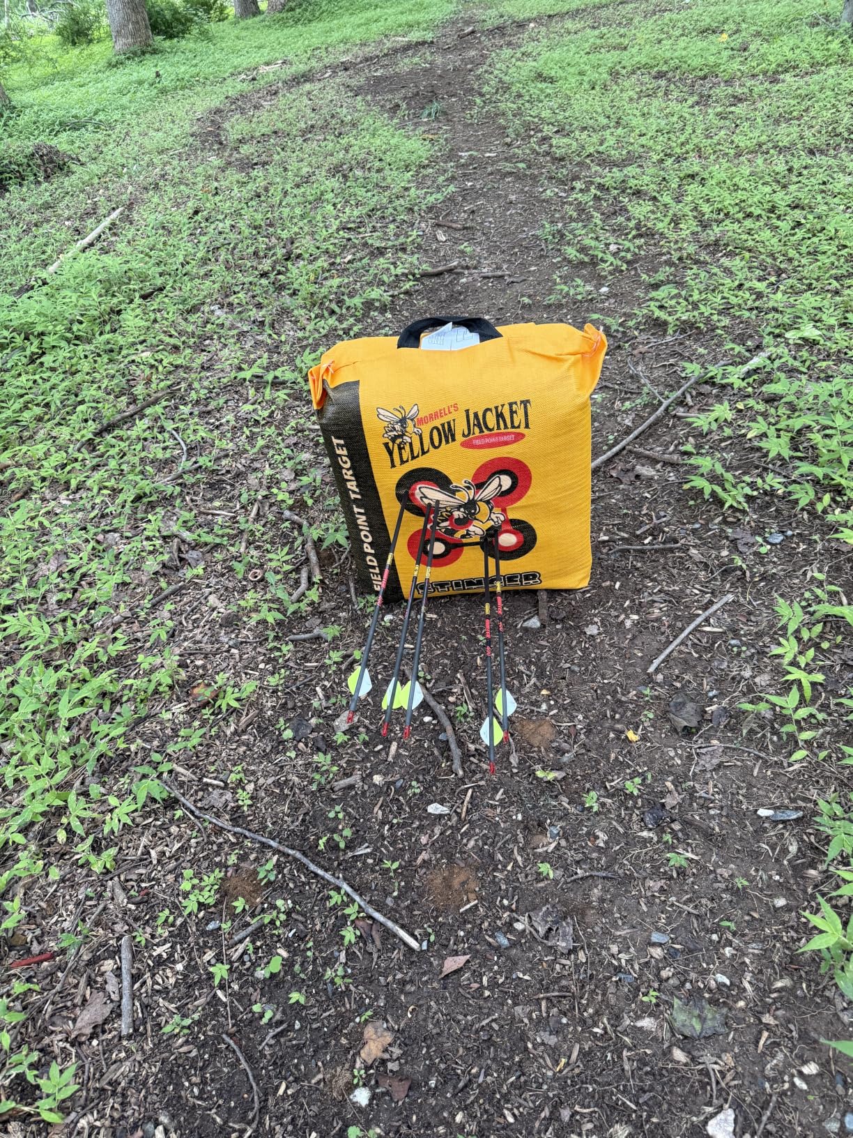 Morrell Yellow Jacket Stinger, Field Point Archery Target with 2 Shooting Sides & 10 Bullseyes - Portable Backyard Hunting Practice Bag with E-Z Tote Carrying Handle customer photo 1