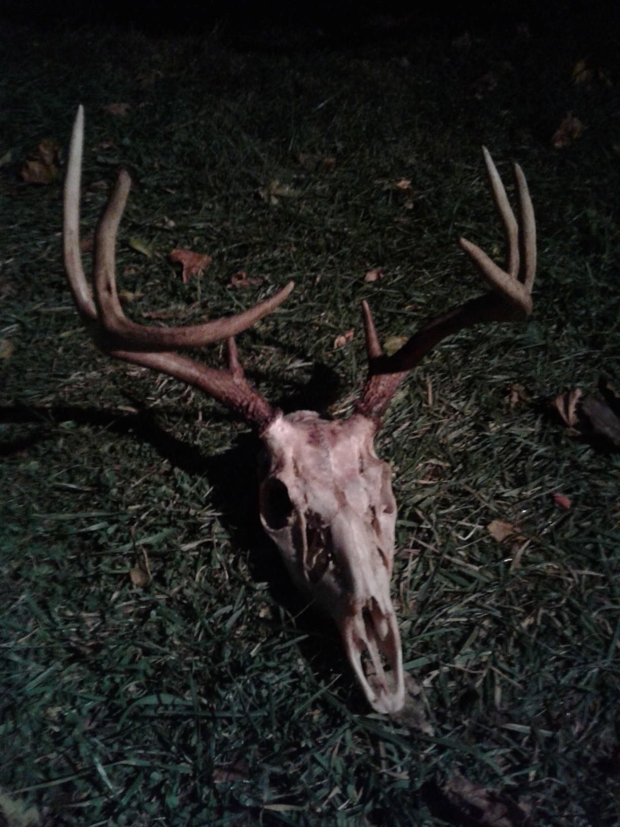 Hunters Specialties Hunting Ruttin' Buck Rattling Bag Deer Call customer photo 1