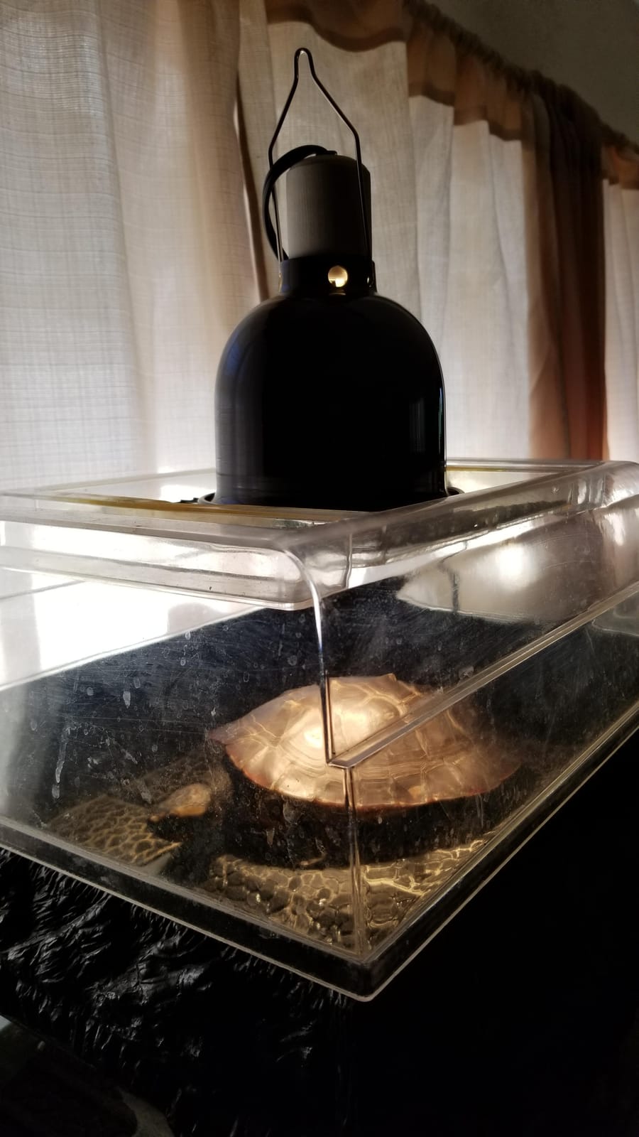Zoo Med Aquatic Turtle Lighting Combo 50 Watt customer photo 2