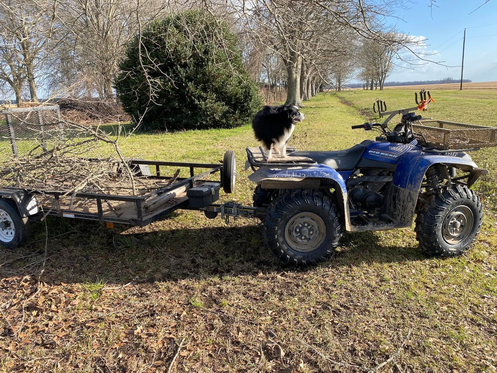 ITP Mud Lite AT Mud Terrain ATV Tire 25x8-12 customer photo 1