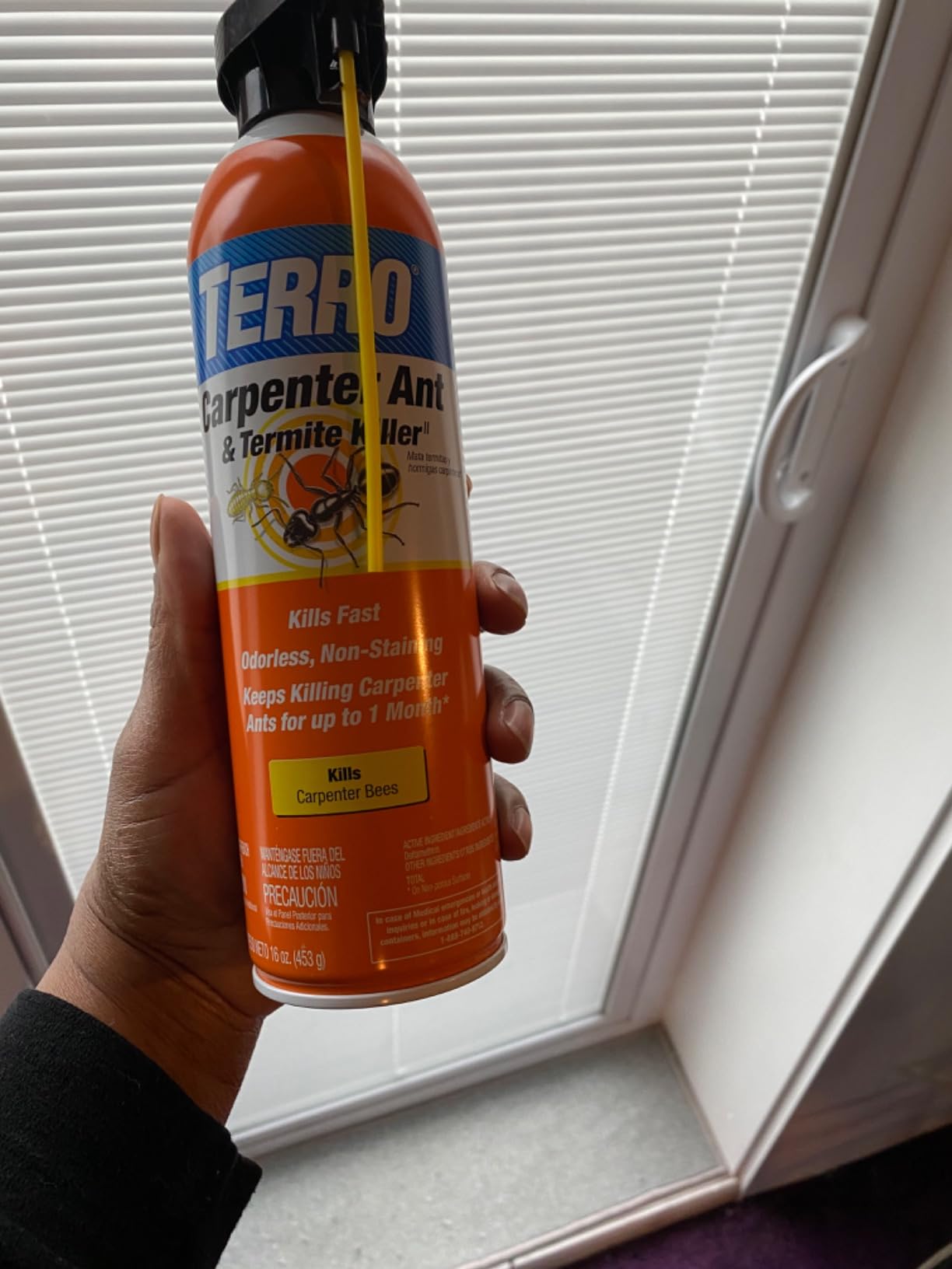 TERRO Ready to Use Indoor and Outdoor Carpenter Ant, Termite, and Carpenter Bee Killer Aerosol Spray - T1901SR - 2 Pack, 32 Total Ounces | Indoor & Outdoor Treatment for Ants, Termites, & Wood-Infesting Insects, Two-Way Spray Nozzle, 32 Total oz customer photo 2