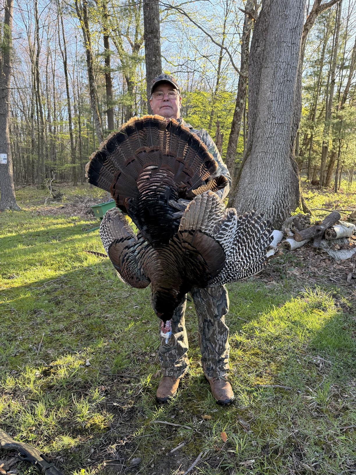 Avian X LCD Breeder Hen Turkey Decoy customer photo 1