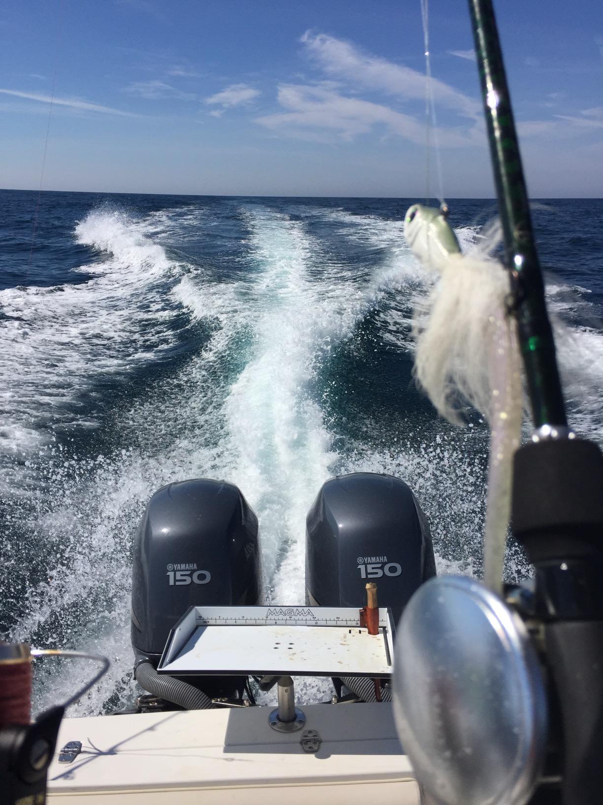 Magma Products Combination Bait/Filet Mate and Levelock Rod Holder Mount customer photo 1