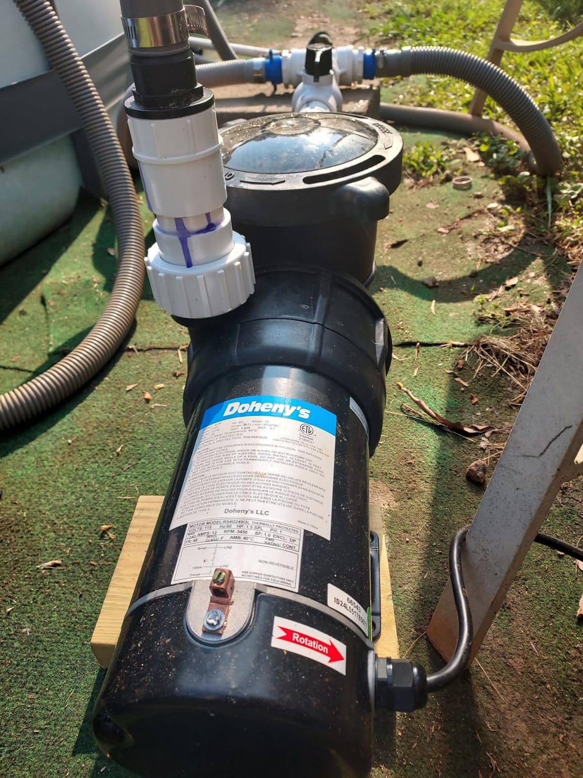 Doheny's 1.5 HP Above Ground Swimming Pool Pump | 115V, 83 GPM (1.2 THP), Stainless Steel Shaft, Reinforced Thermoplastic, Low-Noise, High-Efficiency customer photo 2