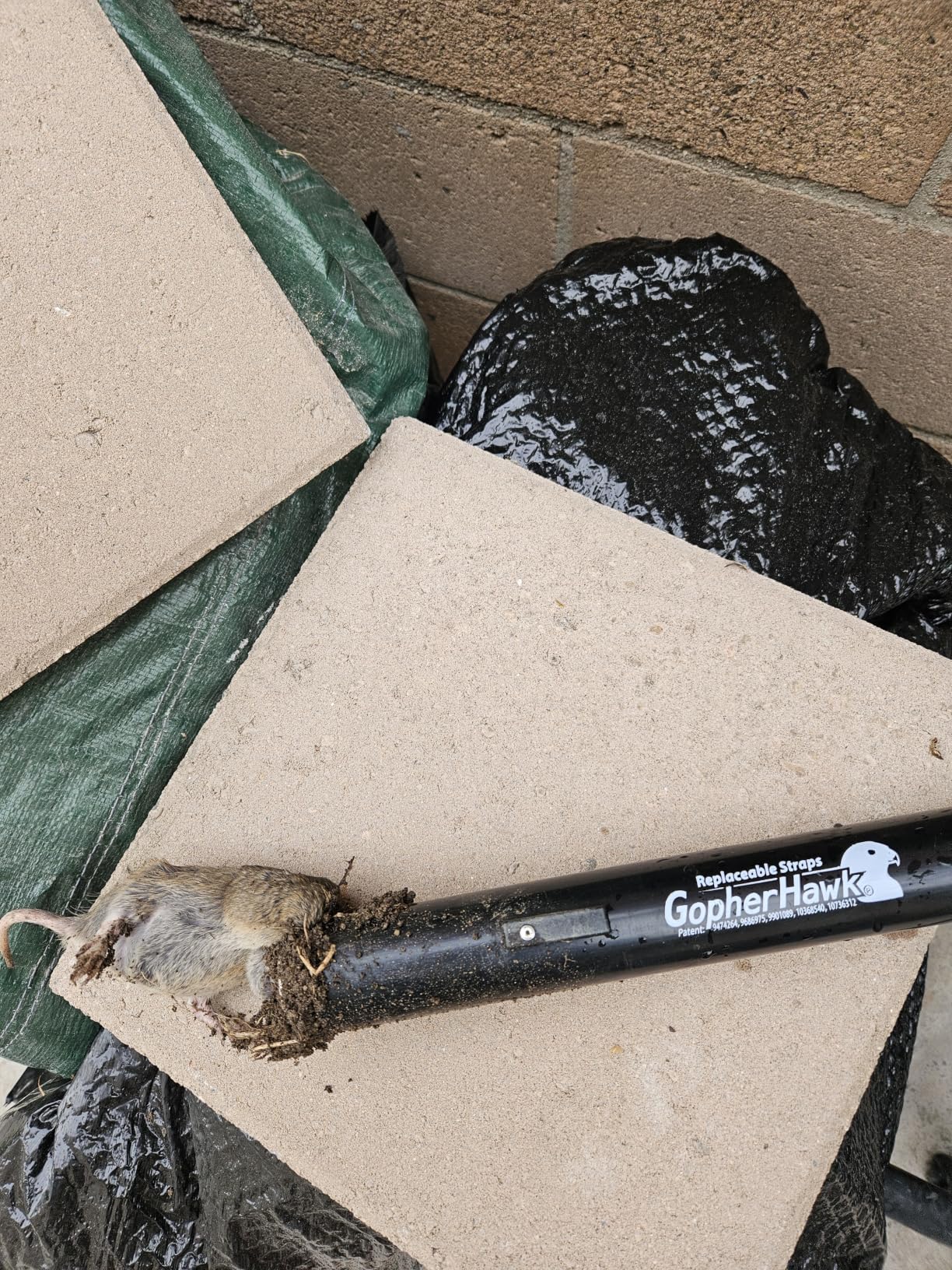 GopherHawk Trapping Set, Includes Wedge and Probe Tool customer photo 1