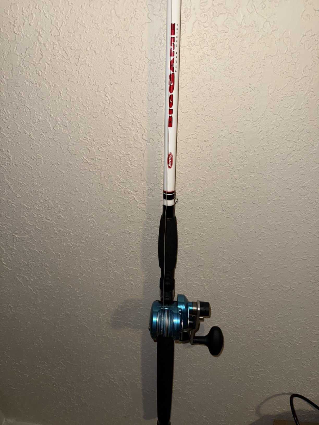 Berkley Big Game Casting Fishing Rod customer photo 2