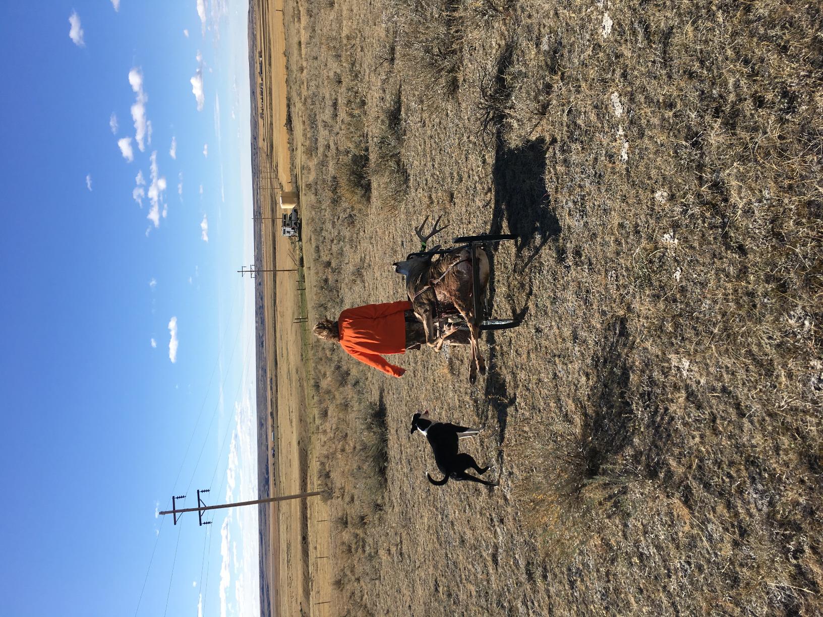 Kill Shot Deer Hunting Game Cart 750 lb Capacity with 20