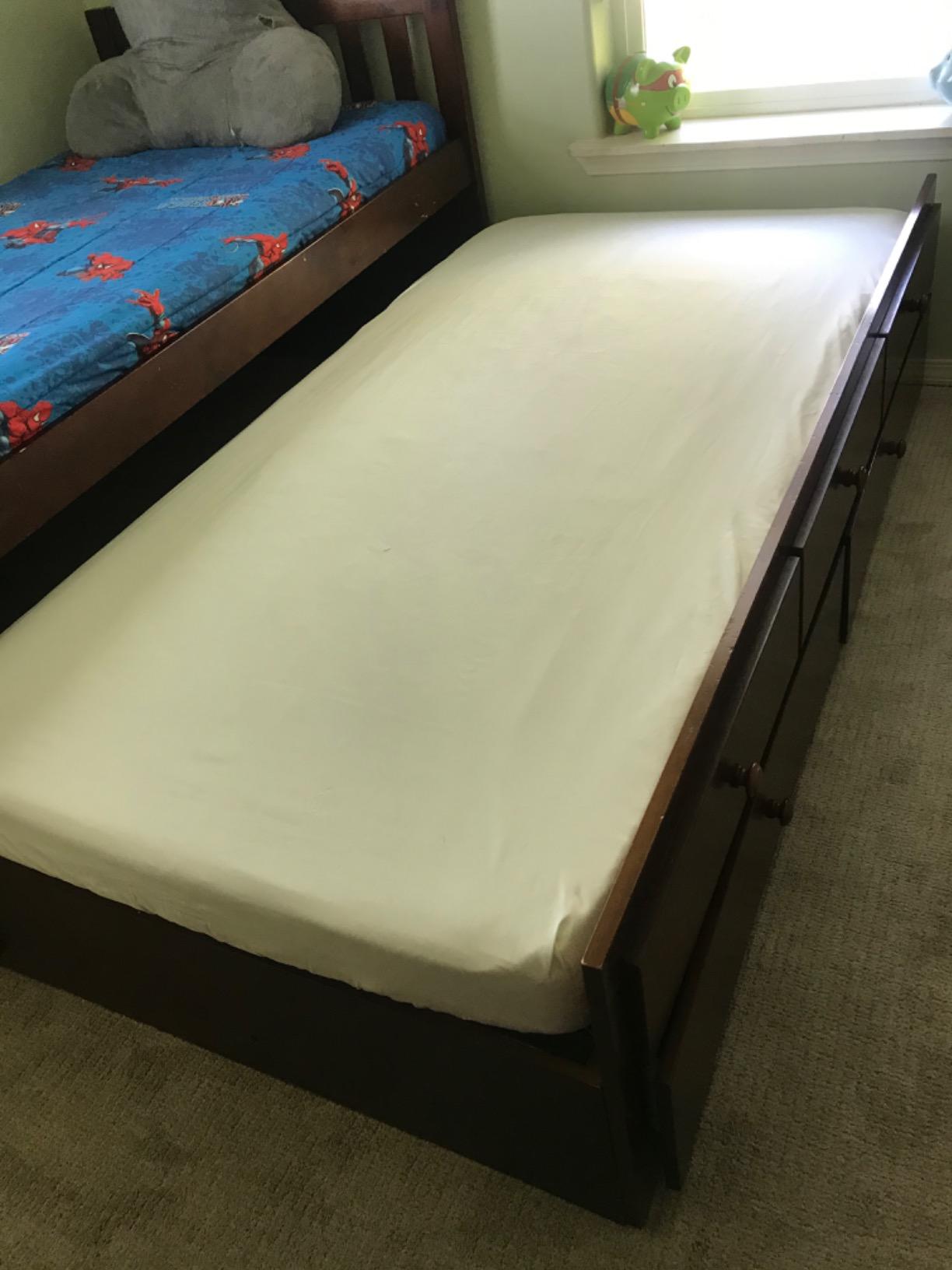 Queen (13-16 in. Deep) SureGuard Mattress Encasement - 100% Waterproof, Bed Bug Proof, Hypoallergenic - Premium Zippered Six-Sided Cover | Soft Noiseless Breathable Cotton Terry Top Pad customer photo 2