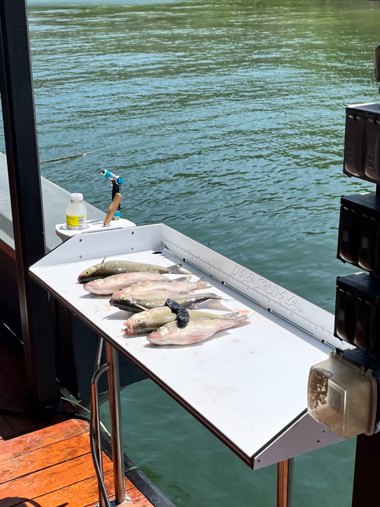 Magma Tournament Series Fish Cleaning Table - UV-Stabilized High-Density Polyethylene - 304 Stainless Steel Frame - Ruler, Knife Holders - Ideal Boat/Fishing Accessory - T10-449B customer photo 1