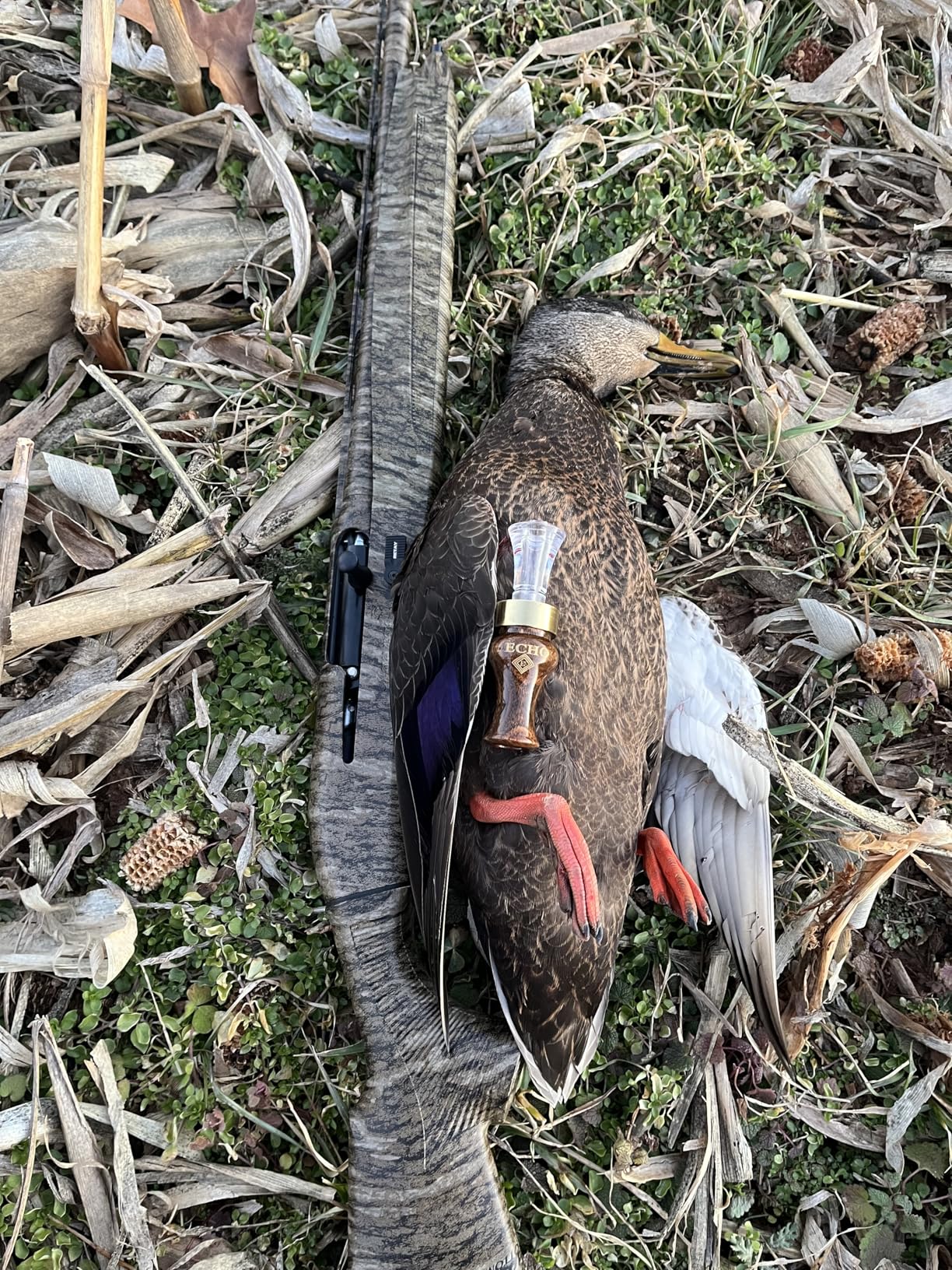 Echo Diamondwood Timber Double Reed Duck Call Bocote customer photo 1